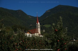 fotografie-16