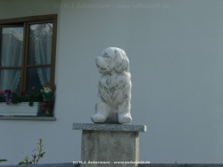 fotografie-4