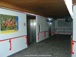 fotografie-11