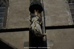 fotografie-27