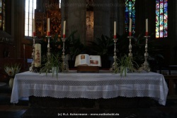 fotografie-44