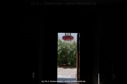 fotografie-85