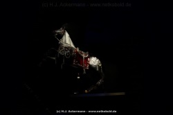 fotografie-31