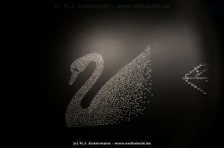 fotografie-8