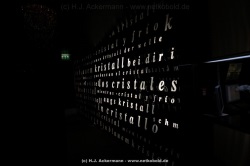fotografie-79