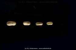 fotografie-71