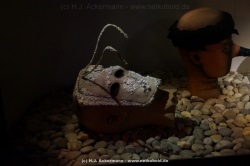 fotografie-1