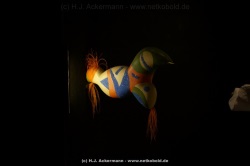 fotografie-183