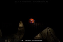 fotografie-113