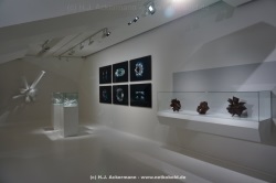 fotografie-14