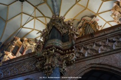 fotografie-15