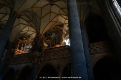 fotografie-28