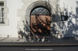 fotografie-56