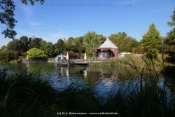 fotografie-4