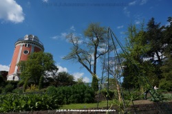 fotografie-13