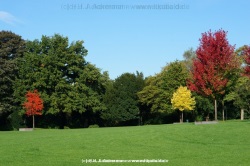fotografie-14