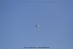 fotografie-199