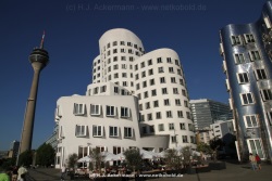 fotografie-7