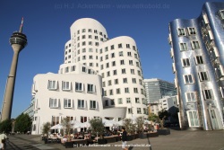 fotografie-8