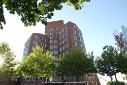 fotografie-29