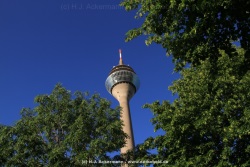 fotografie-12