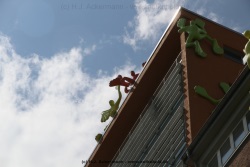 fotografie-54