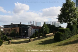 fotografie-3