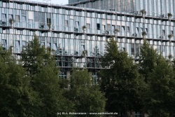 fotografie-30