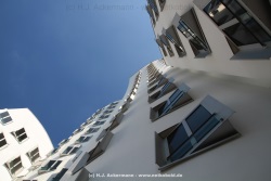 fotografie-6
