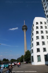 fotografie-8
