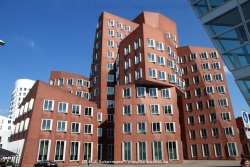 fotografie-26