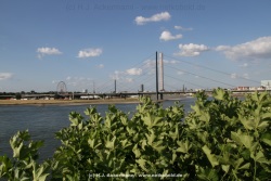 fotografie-39
