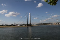 fotografie-46
