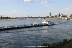 fotografie-50