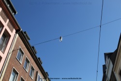 fotografie-37