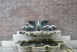 fotografie-74