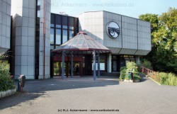 fotografie-37