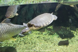 fotografie-184