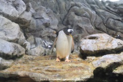fotografie-42