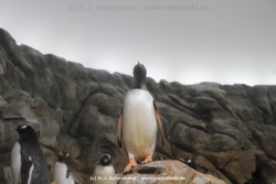 fotografie-120