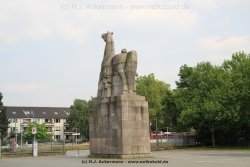 fotografie-136
