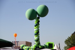 fotografie-17