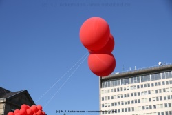 fotografie-20