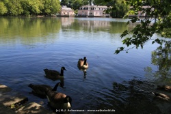 fotografie-15