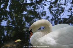 fotografie-21