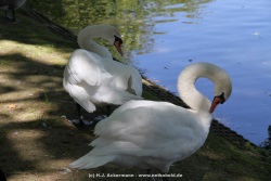 fotografie-34