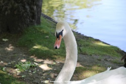 fotografie-37