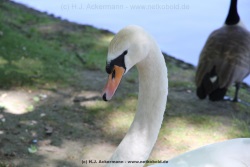 fotografie-38