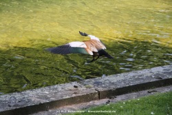 fotografie-66
