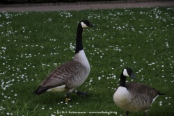 fotografie-75